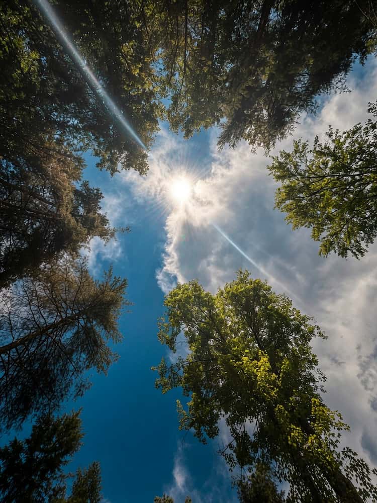 Sky view